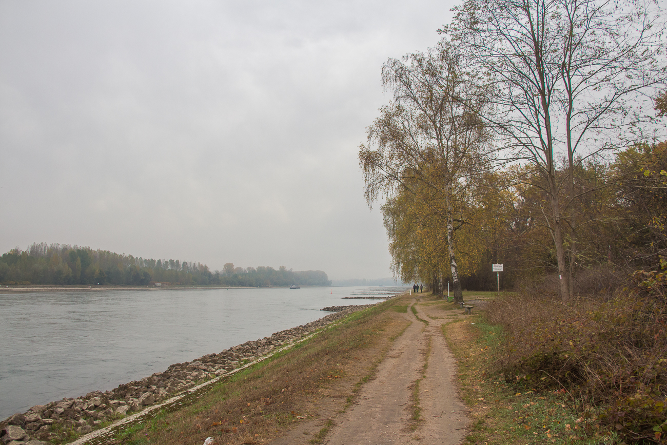 Weg am Rhein entlang