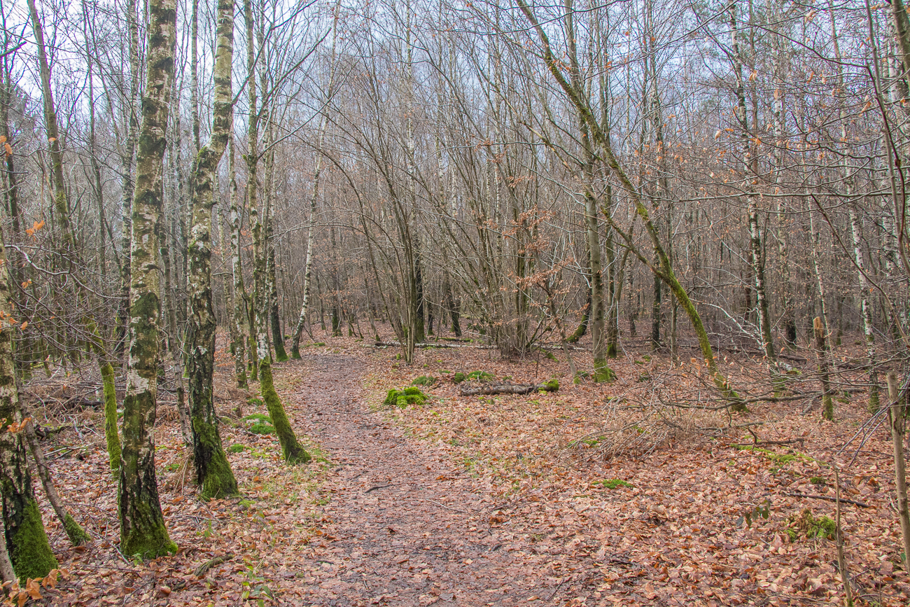 ... vom Wetter her ähnlich wie zwei Tage zuvor in Schweden 
