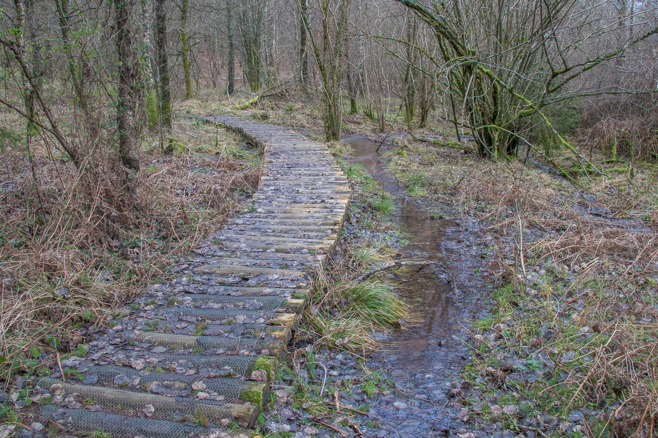 Hier bekommt man keine nasse/schmutzigen Schuhe ... 