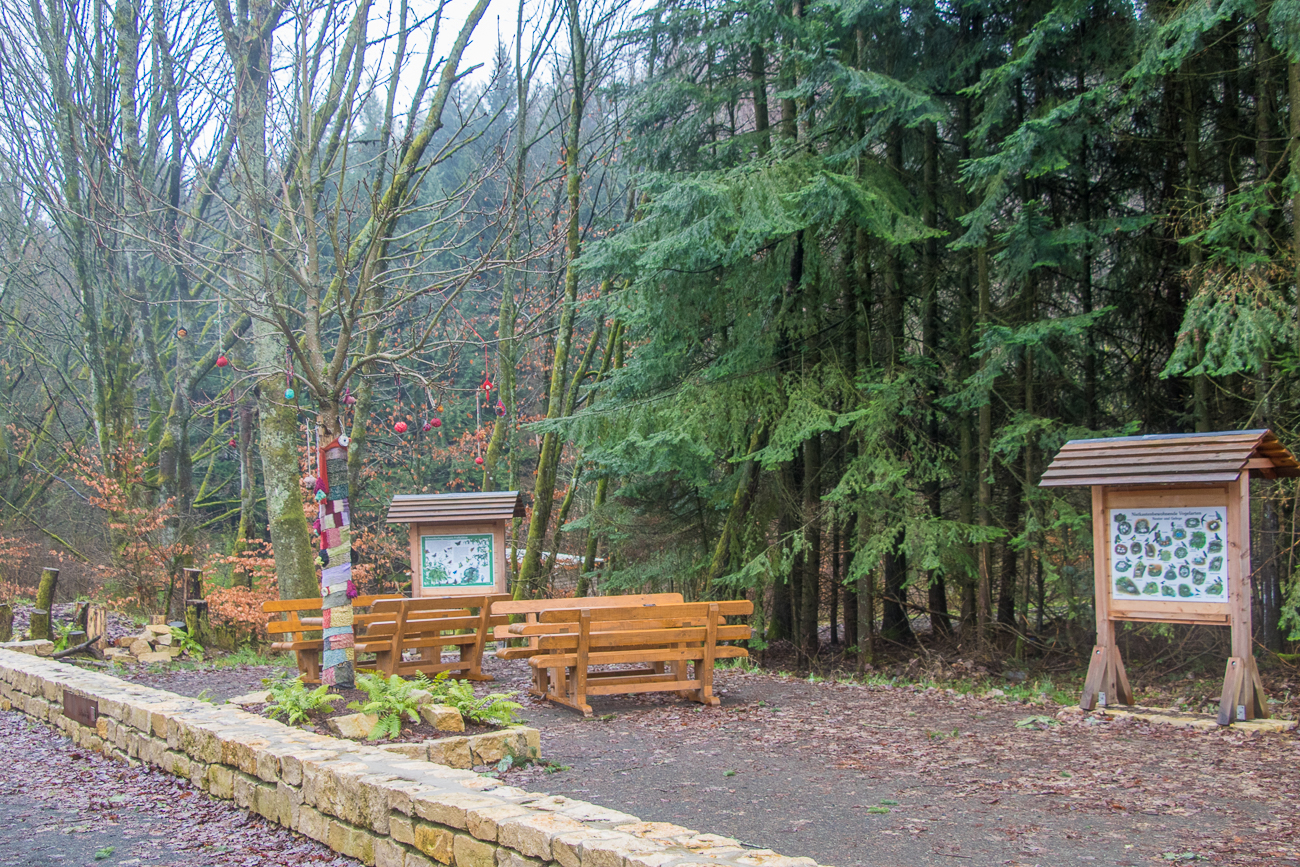 Gleich am Start schon eine Rastbank ;-) 