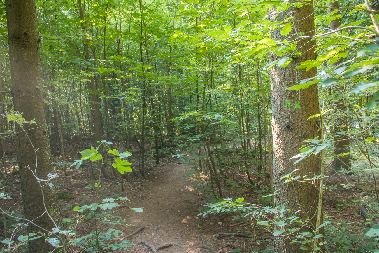 ... aber langsam wird es dichter