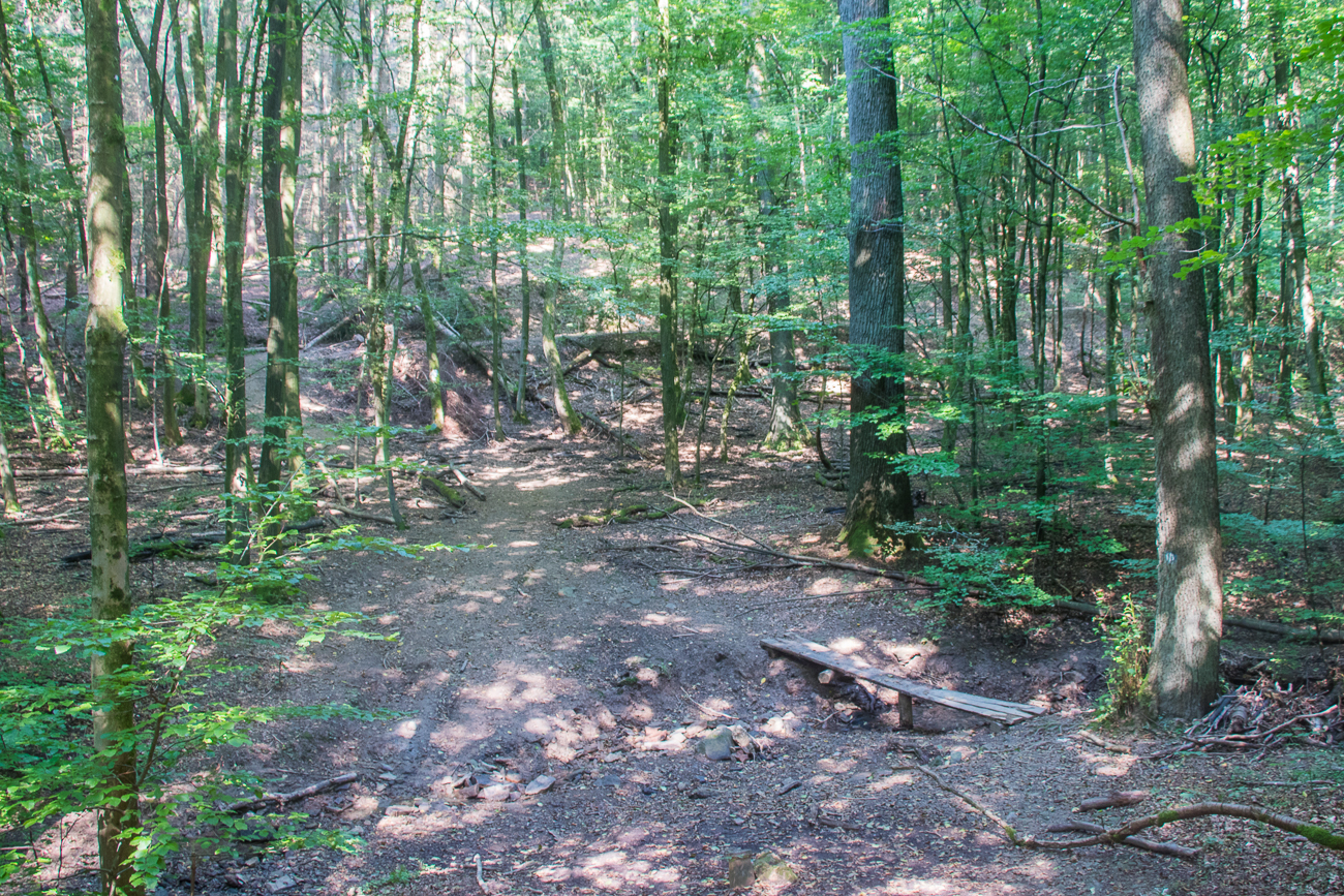 Schmaler Steg über ausgetrocknetem Bach