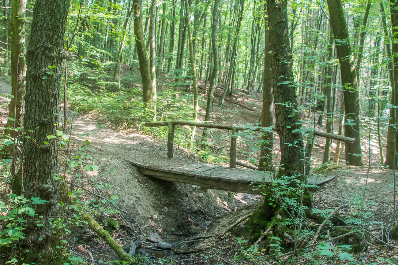 Noch ein "trockener Steg"