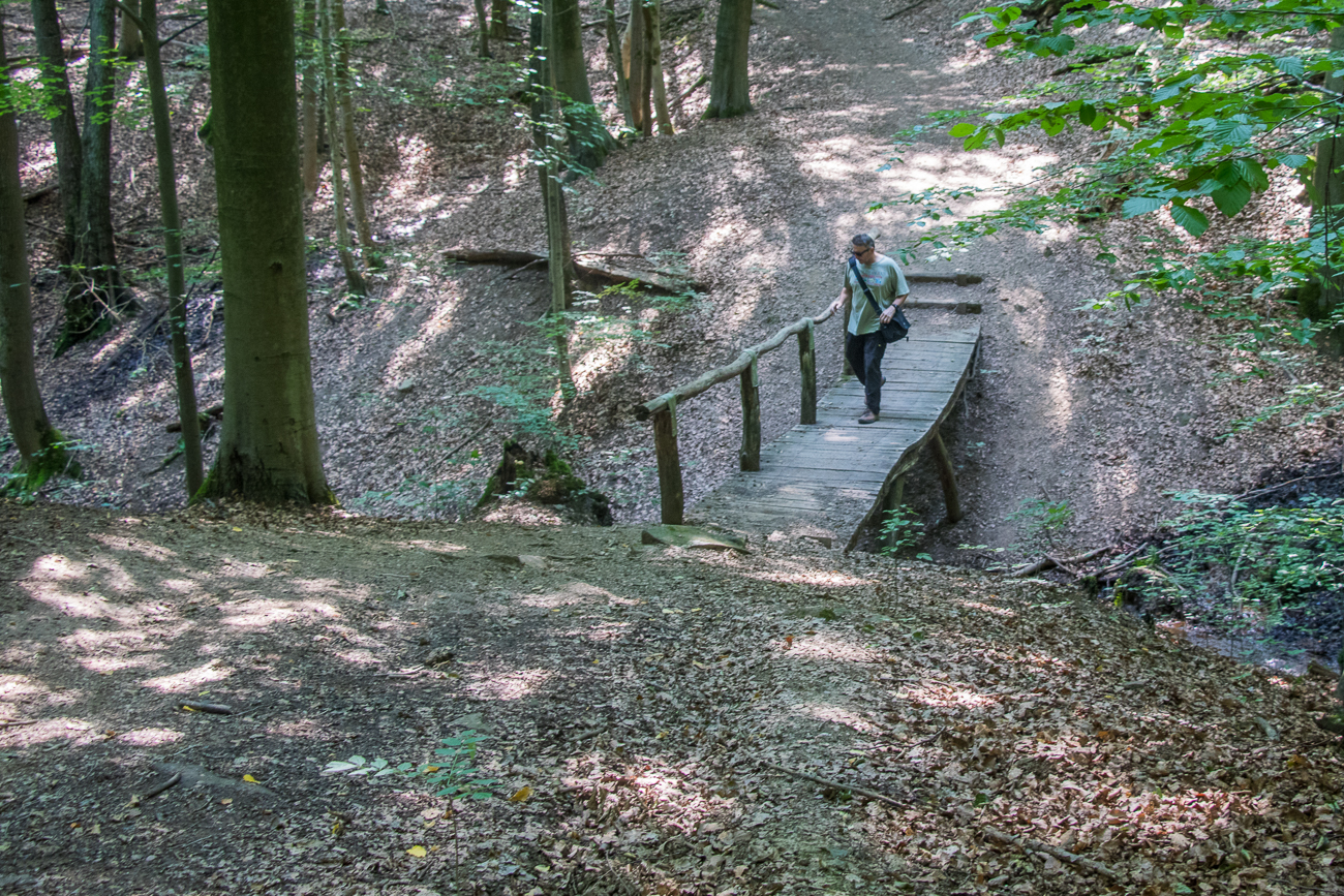 ... als eine Urwald-Tour