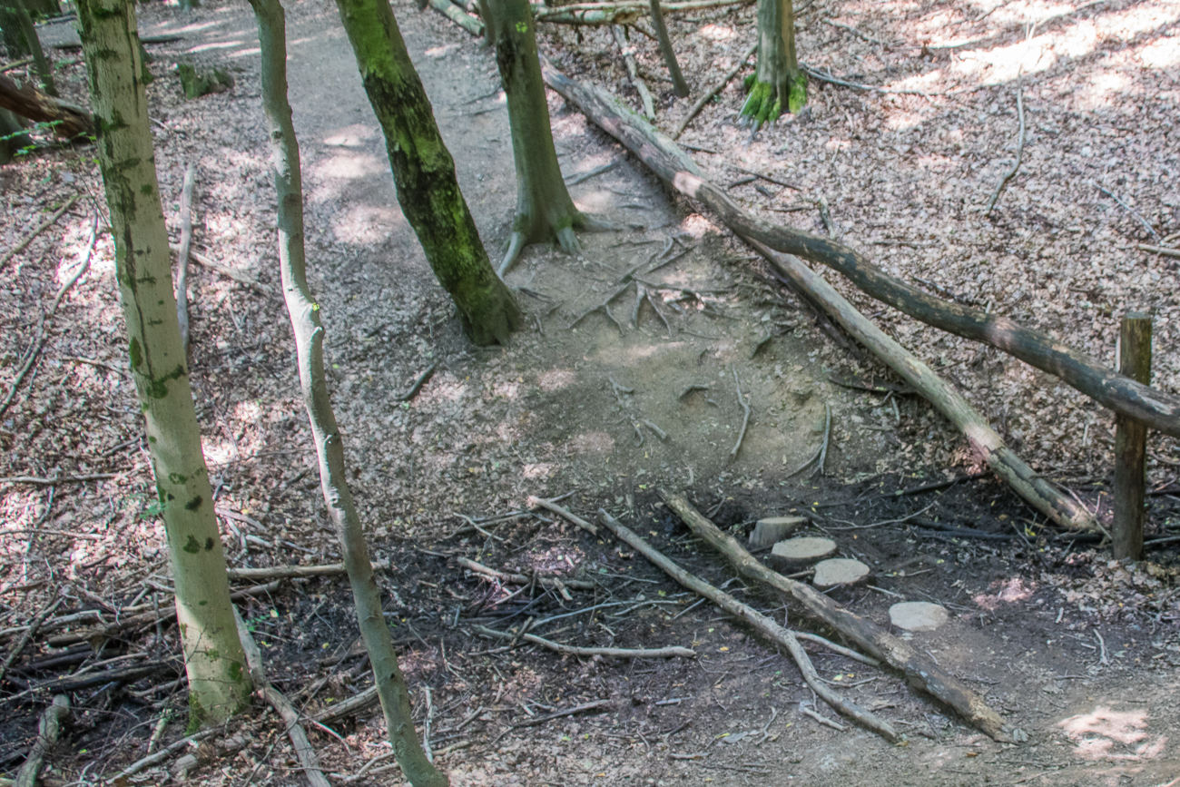 Baumstümpfe statt Steg