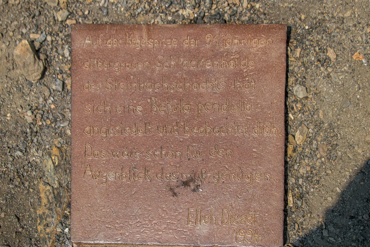 Betula Pendula = Hängebirke ;-)