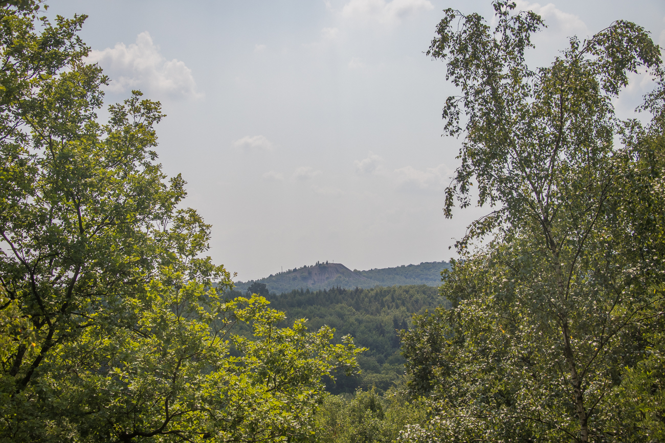 Aussicht zur gegenüberliegender Halde ...