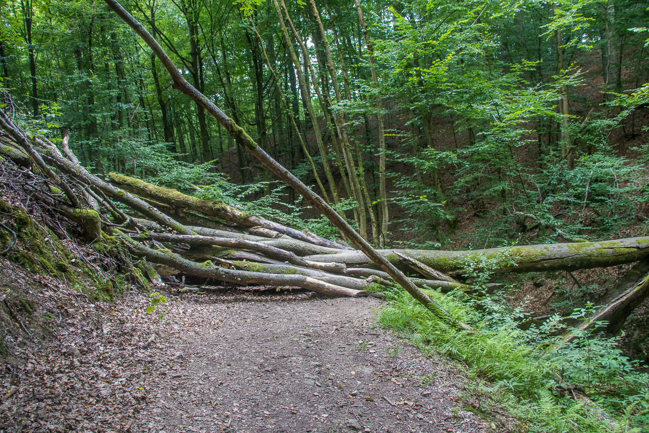 Nicht Steine, sondern Bäume in den Weg gelegt ;-)