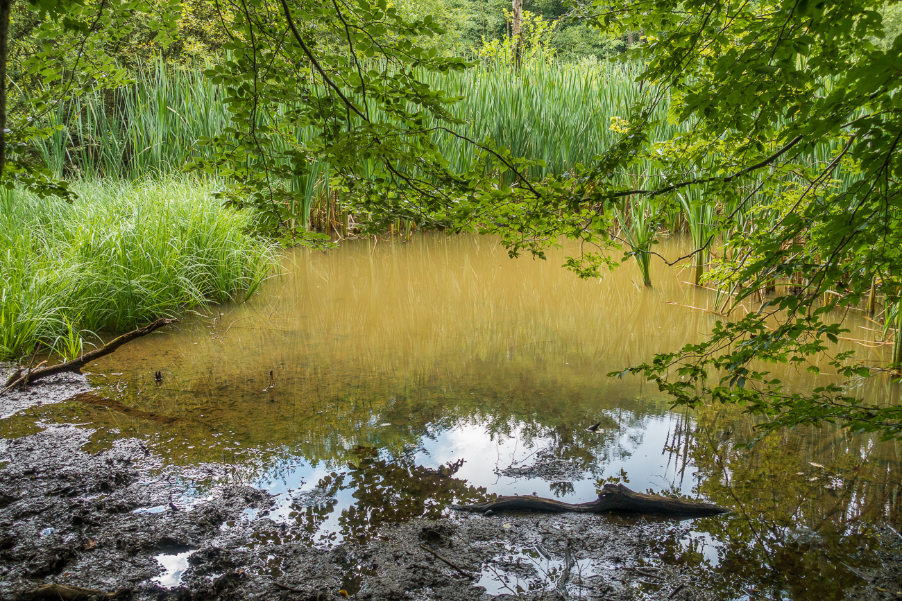 Ob da Alligatoren drin sind? ;-)