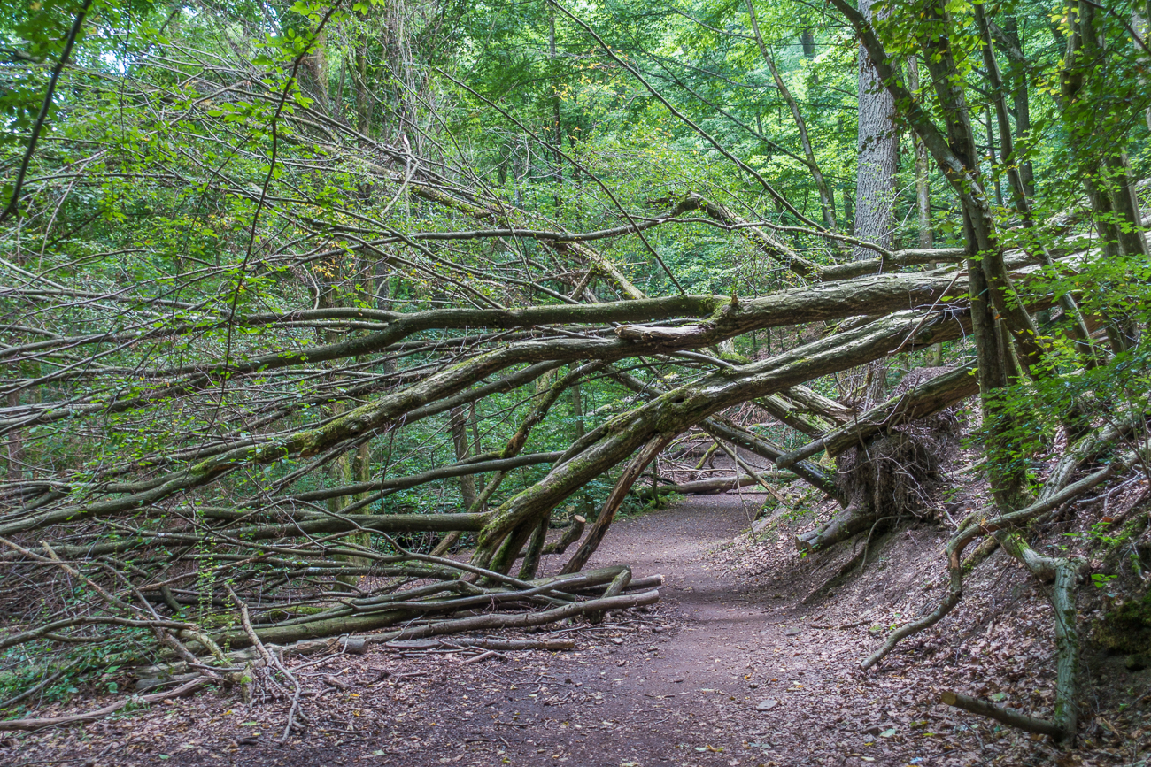 Zumindest auf dem ersten Teil des Weges ...