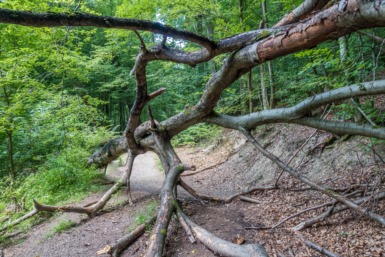 Eine letzte Hürde ...