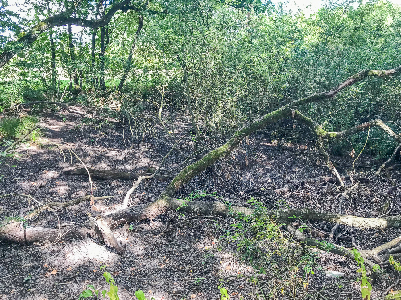 Wasserloch (Mardelle), leider ausgetrocknet