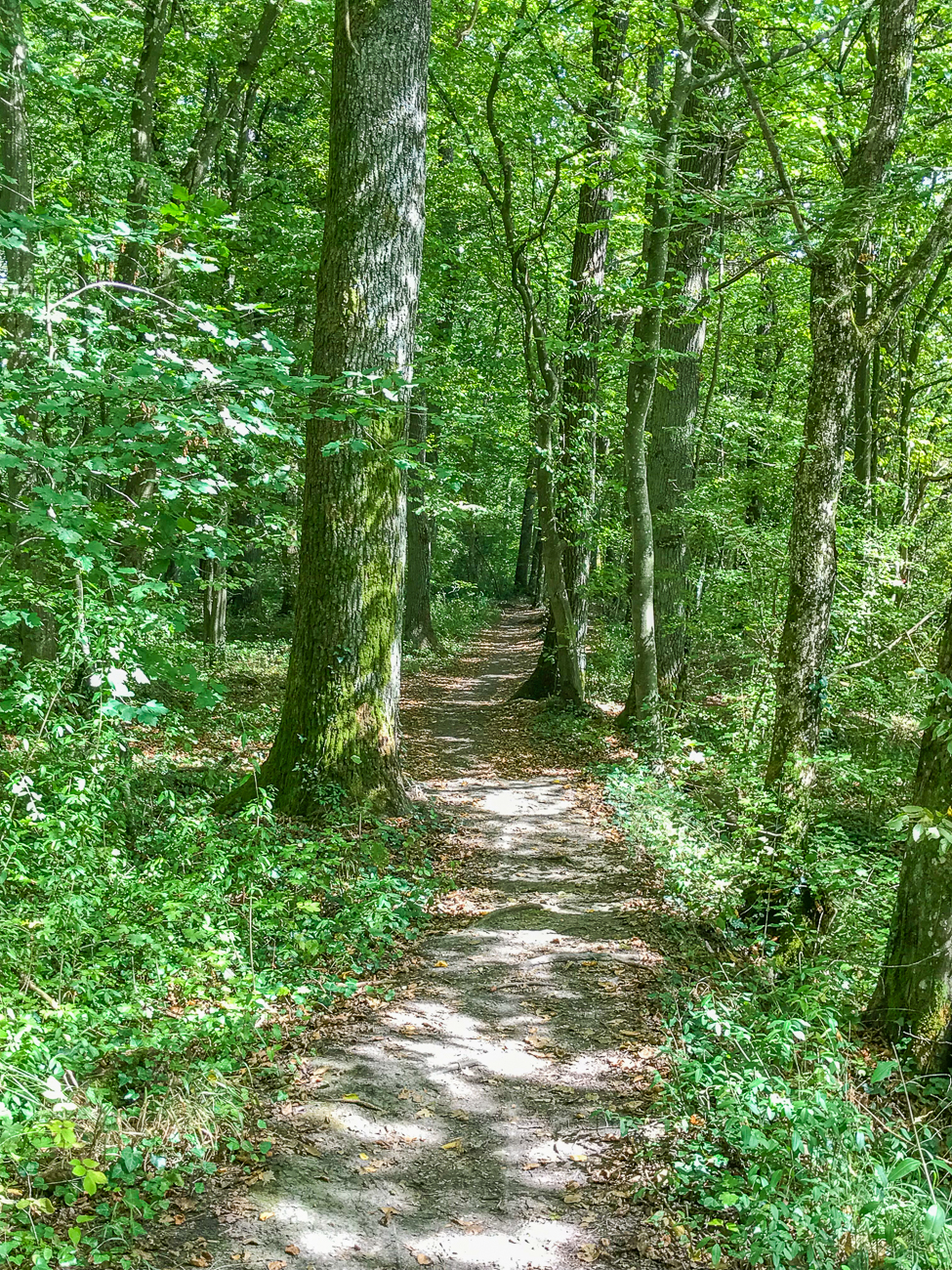 ... führen an der französischen Grenze entlang