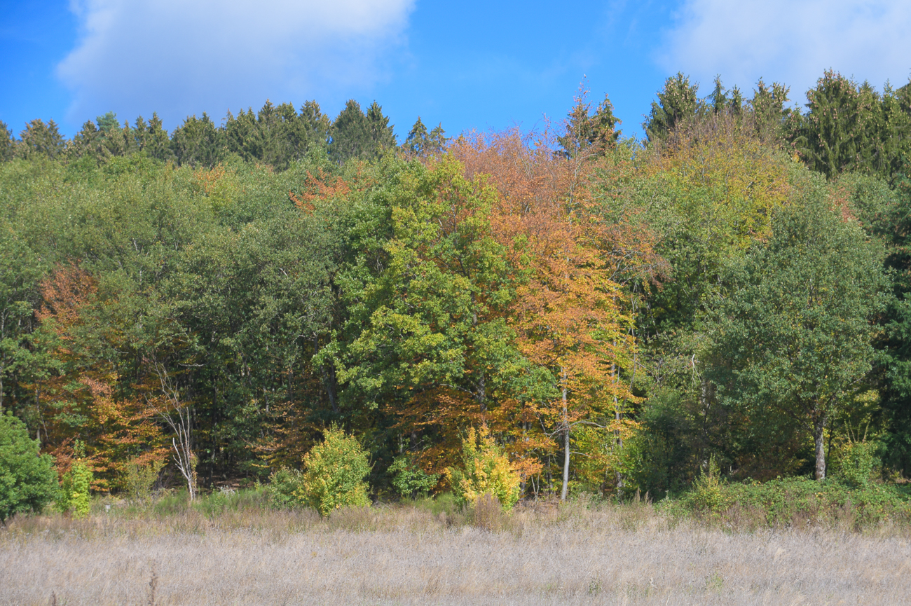 Erklärung zu Bild oben