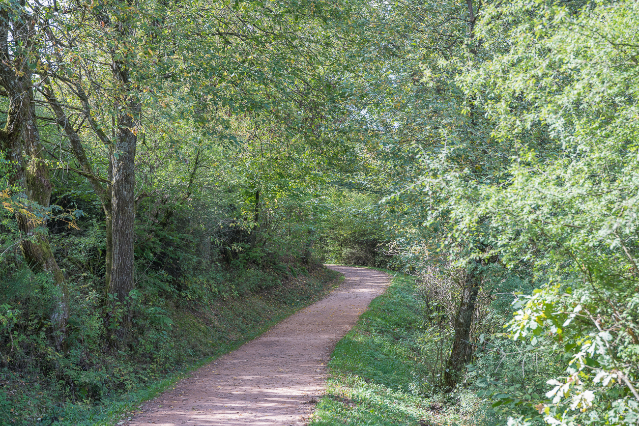 Wanderweg am Schaumberg