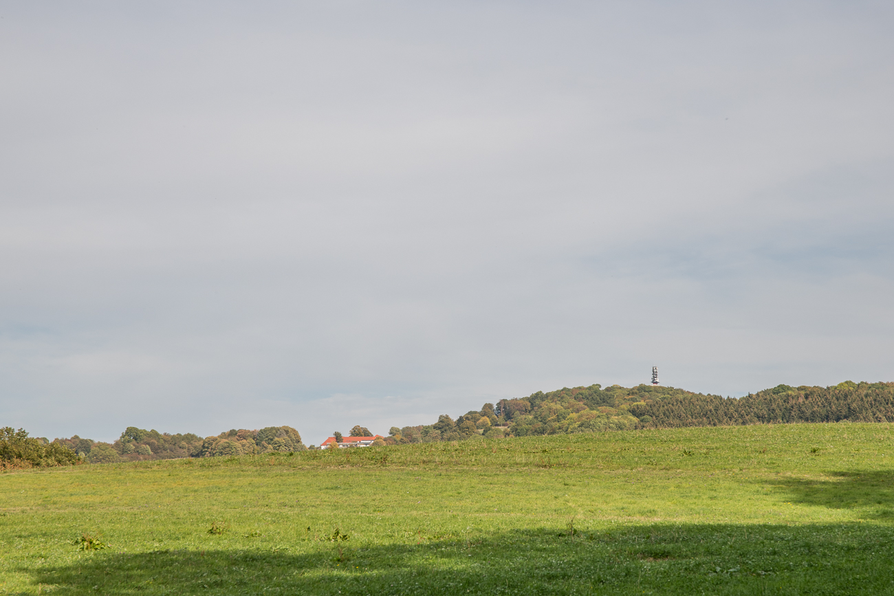 Schaumbergturm in Sicht