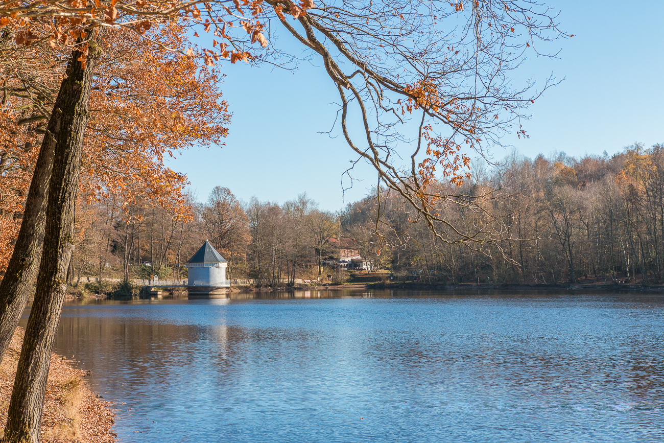 Wieder am Itzenplitzer Weiher, fast am Ziel