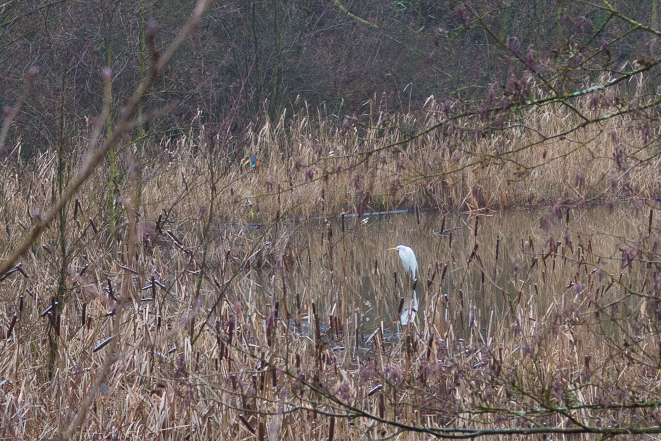 ... leider musste ich die Bilder stark croppen