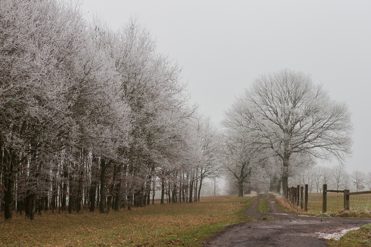 Ein paar Meter Höhenunterschied ...