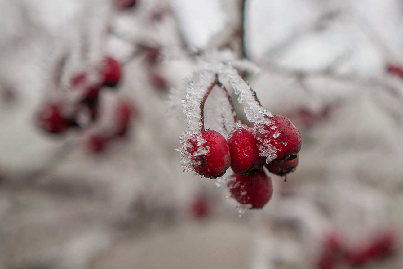 ... und schon ist alles wieder weiß