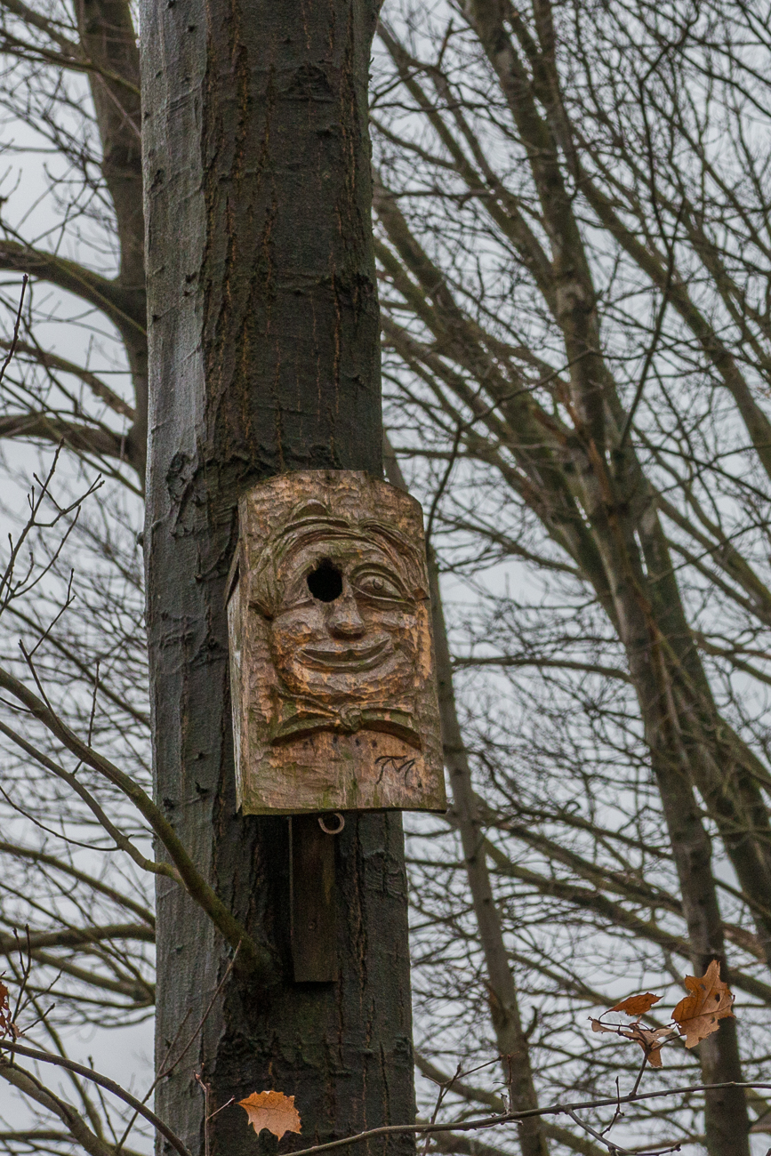 Lustiger Nistkasten ;-)