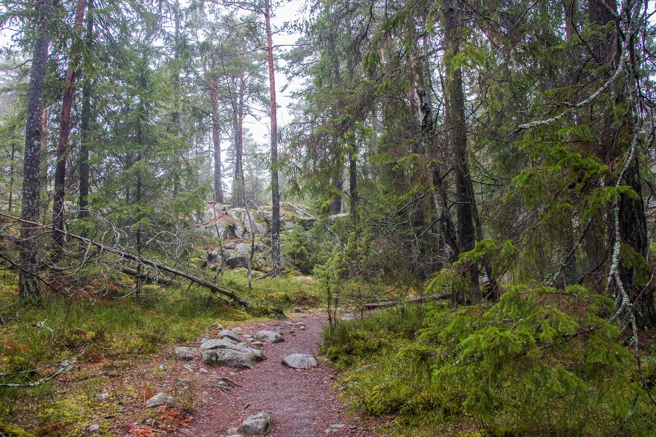 Leider nur eine Wanderung, die wir in Schweden unternommen haben