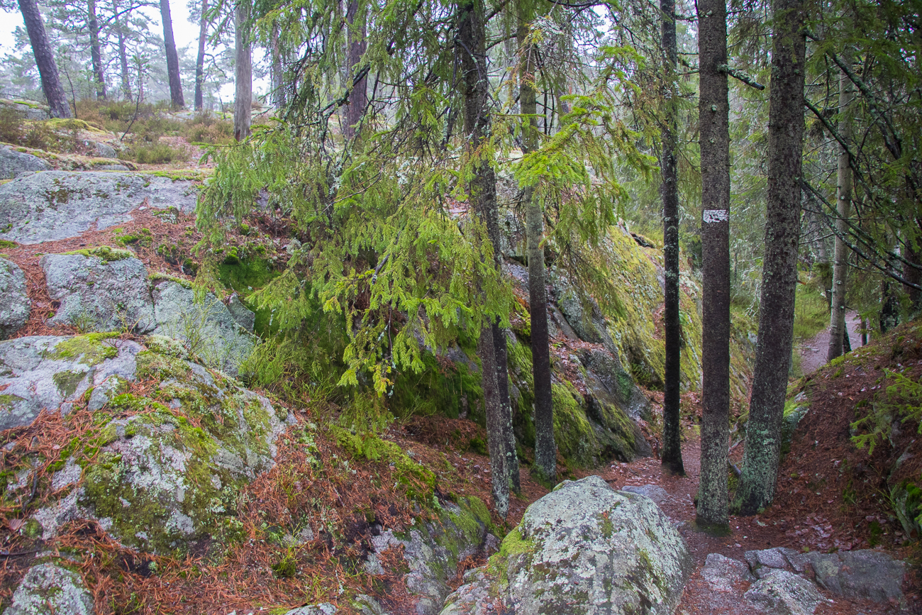 Nun müssen wir etwas klettern 