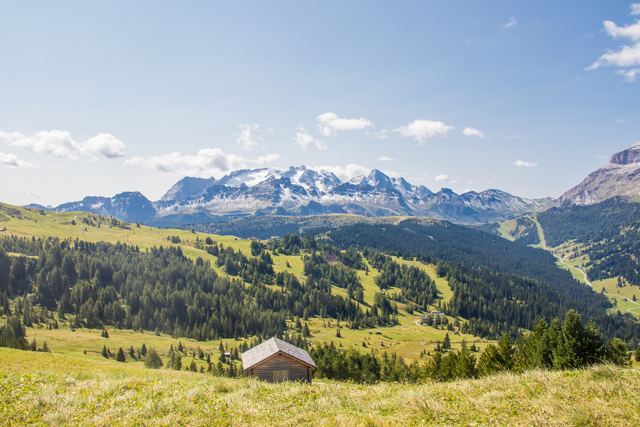 ... lassen die Herzen höher schlagen