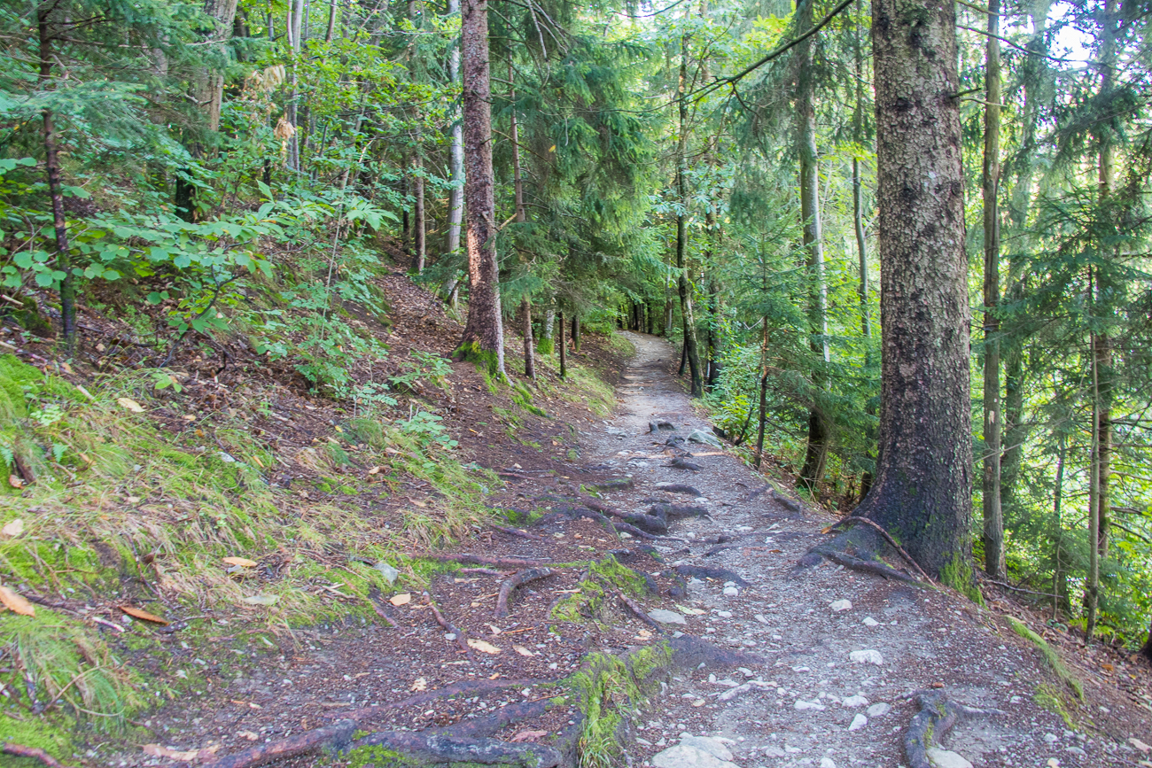 Auf dem Schenner Waalweg