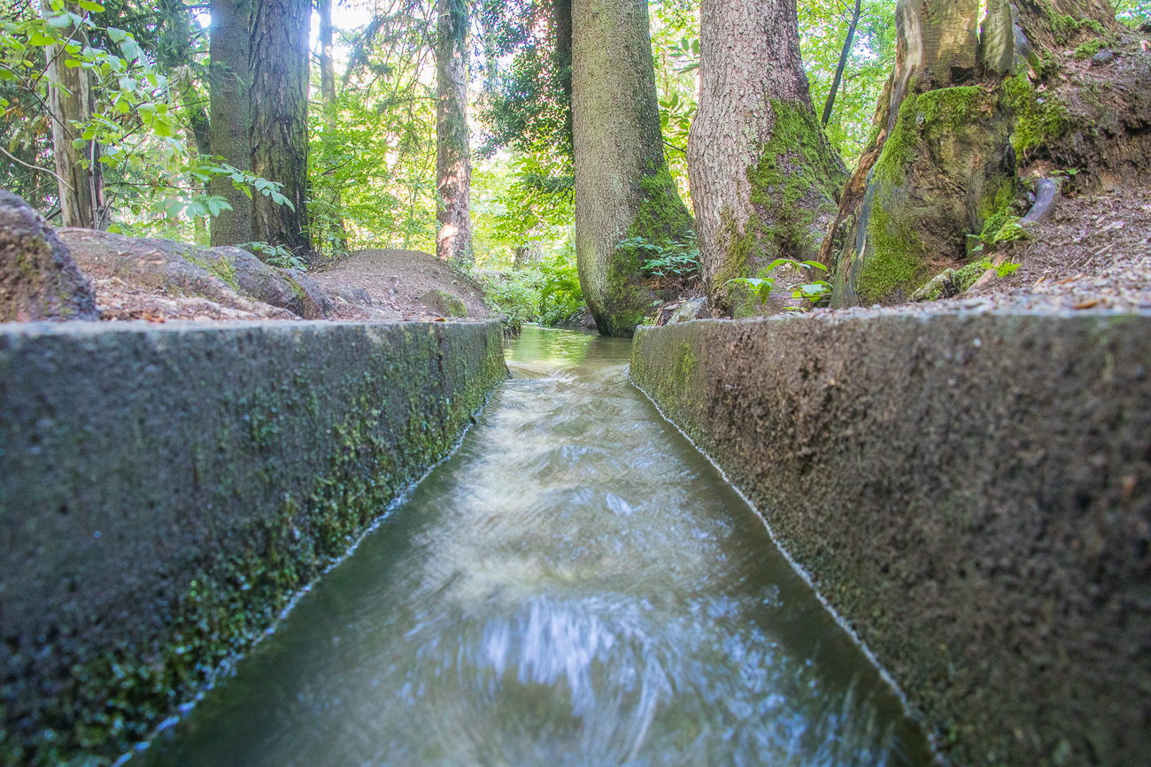 ... führt das Wasser zu den Plantagen