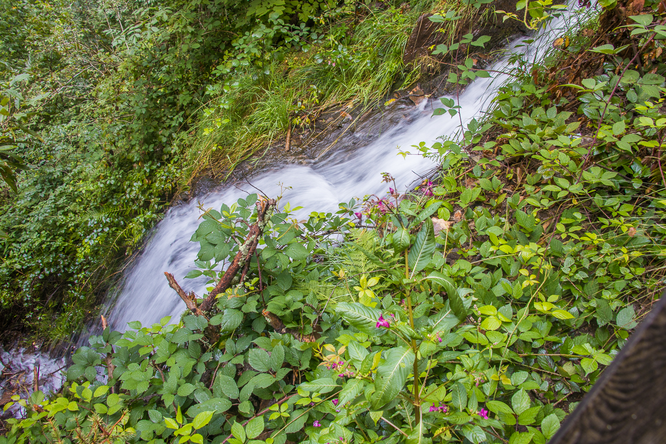 ... fließt auch der Waal den Berg hinab
