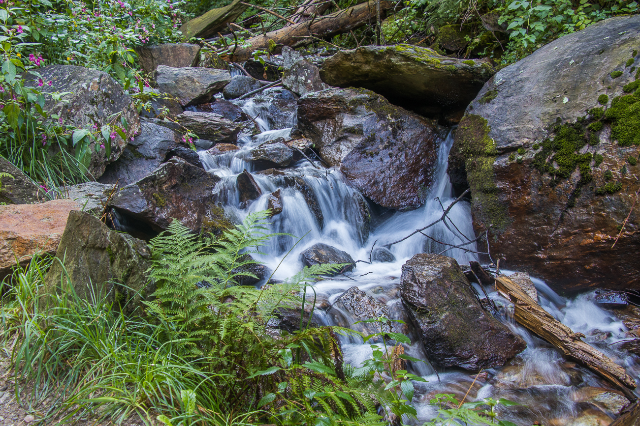 ... und zwischen Steinen hindurch ...