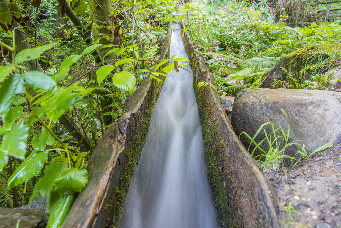 ... und weiter neben dem Weg entlang rauscht