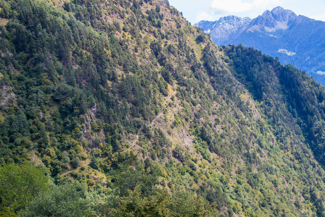 Verlauf des Vellauer Felsenwegs am Hang