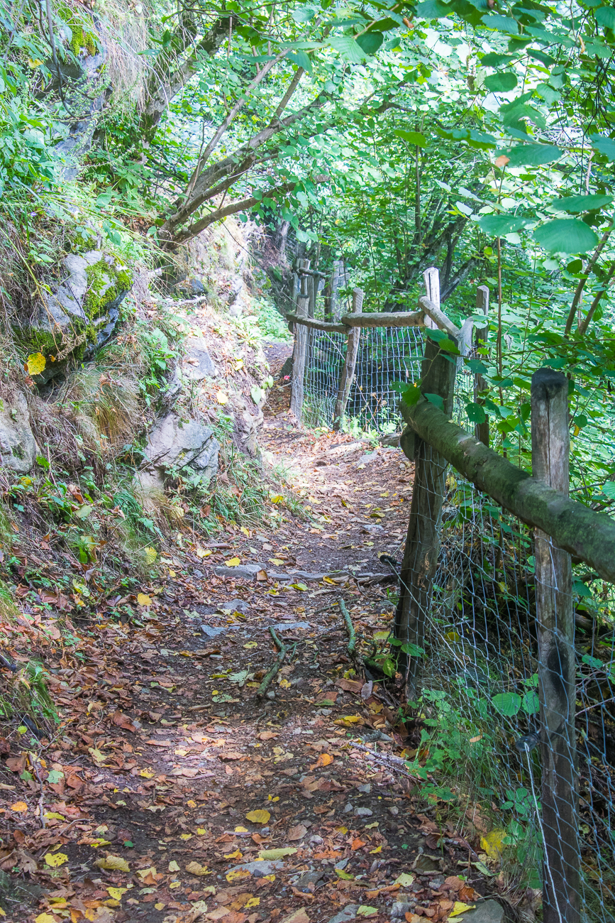 Pfad zum Vellauer Felsenweg