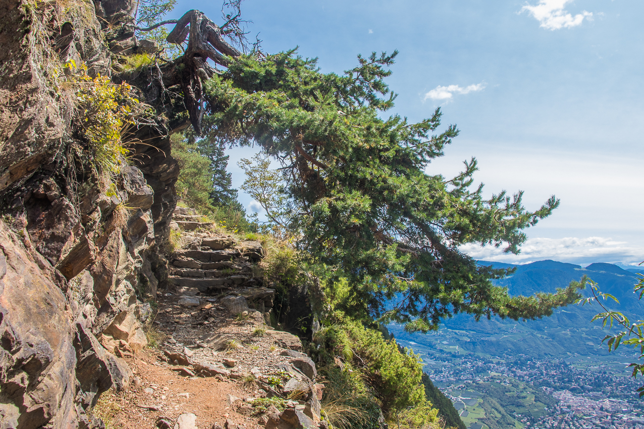 Auf Stufen bergauf ...
