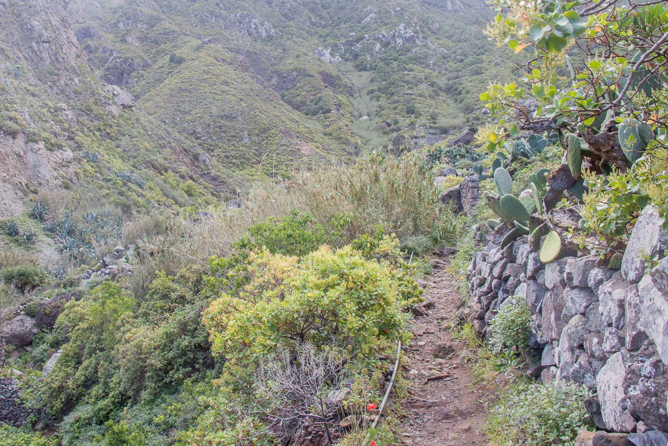 Auf diesem schmalen Pfad ... 