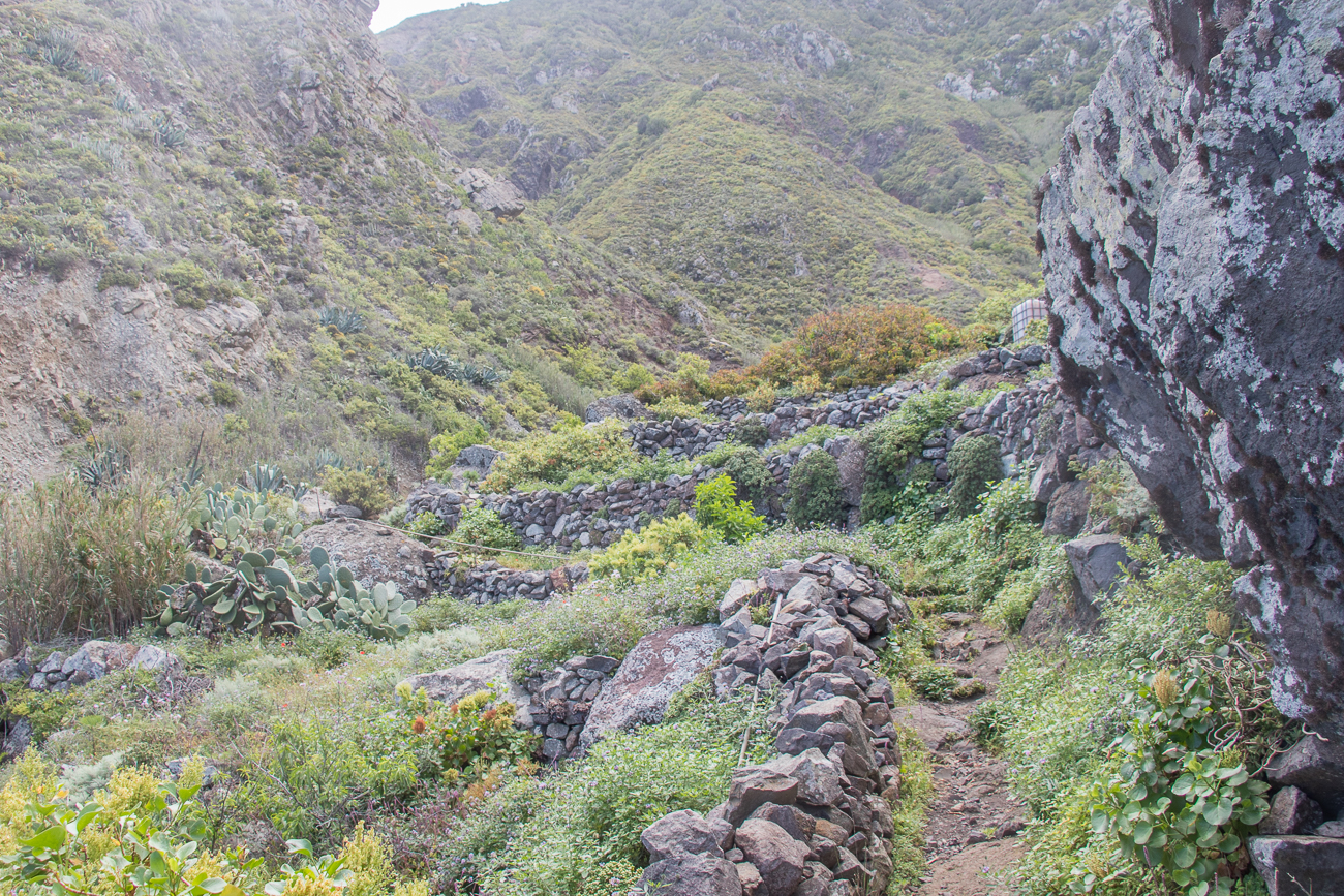 ... führt der Weg den Berg hinauf 