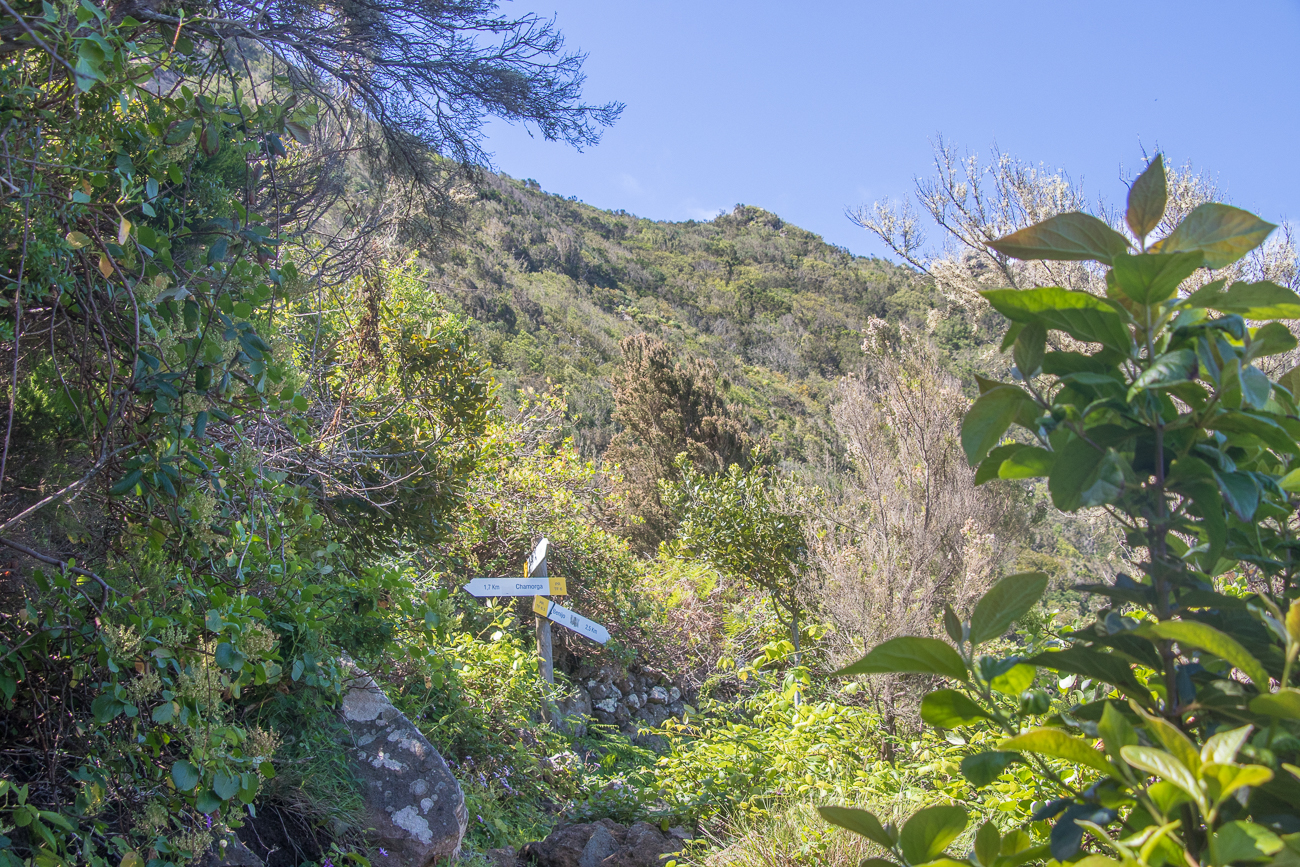 An dem Wegweiser ist das Gröbste geschafft 