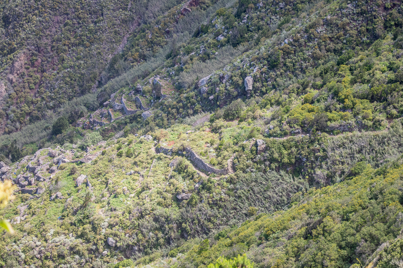 Diesen Trockenmauerweg sind wir hinauf gestiefelt 