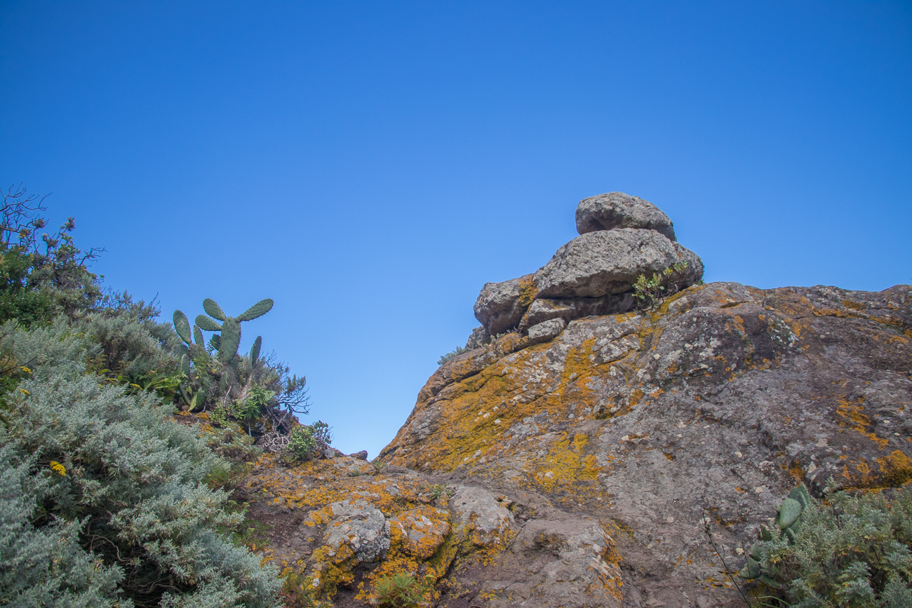 Gleich haben wir den höchsten Punkt geschafft 