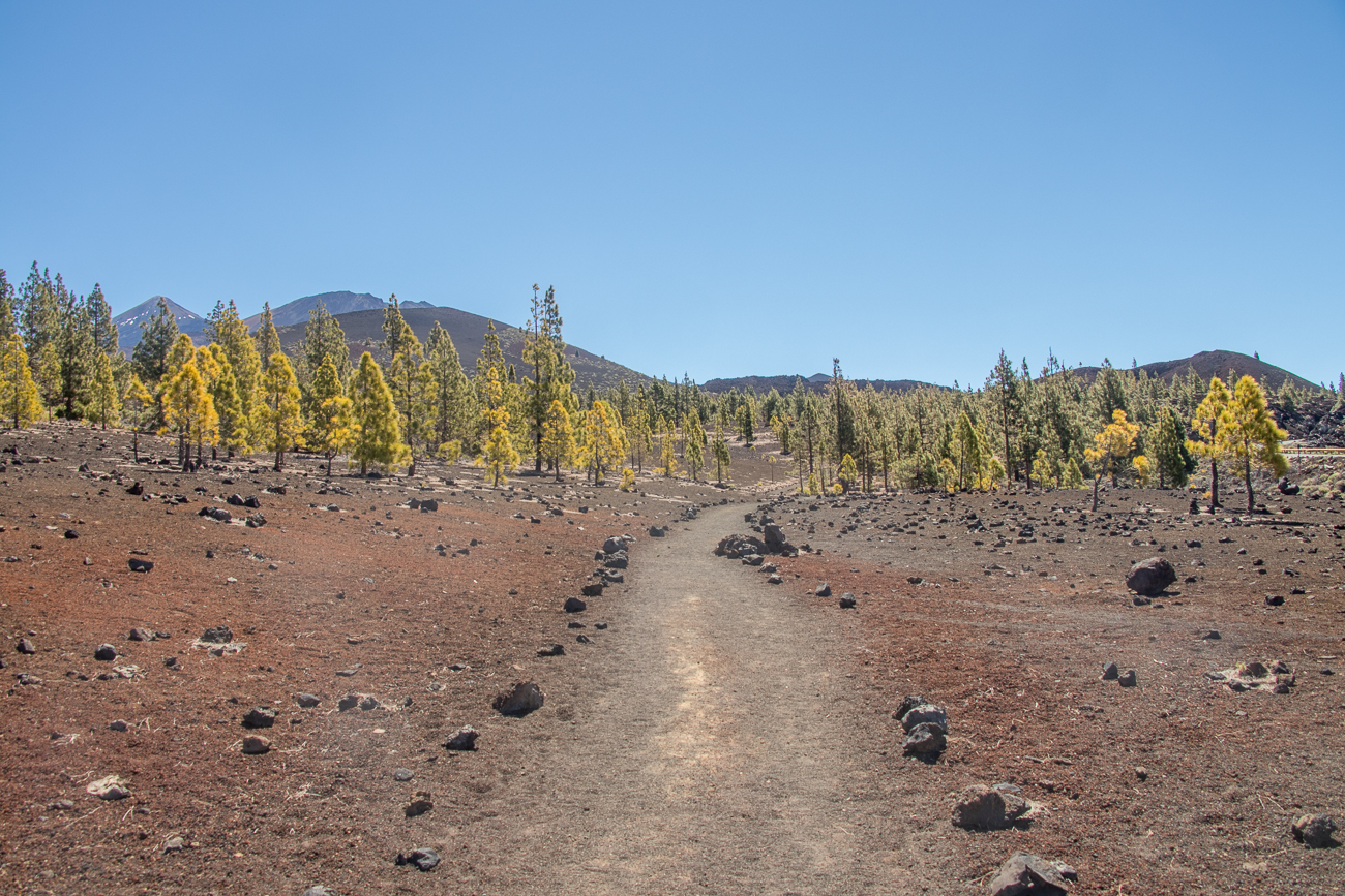 Weg durch das Lavagestein 