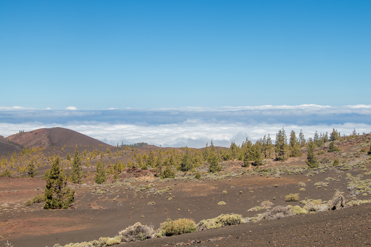 Blick auf die Wolken unter uns 