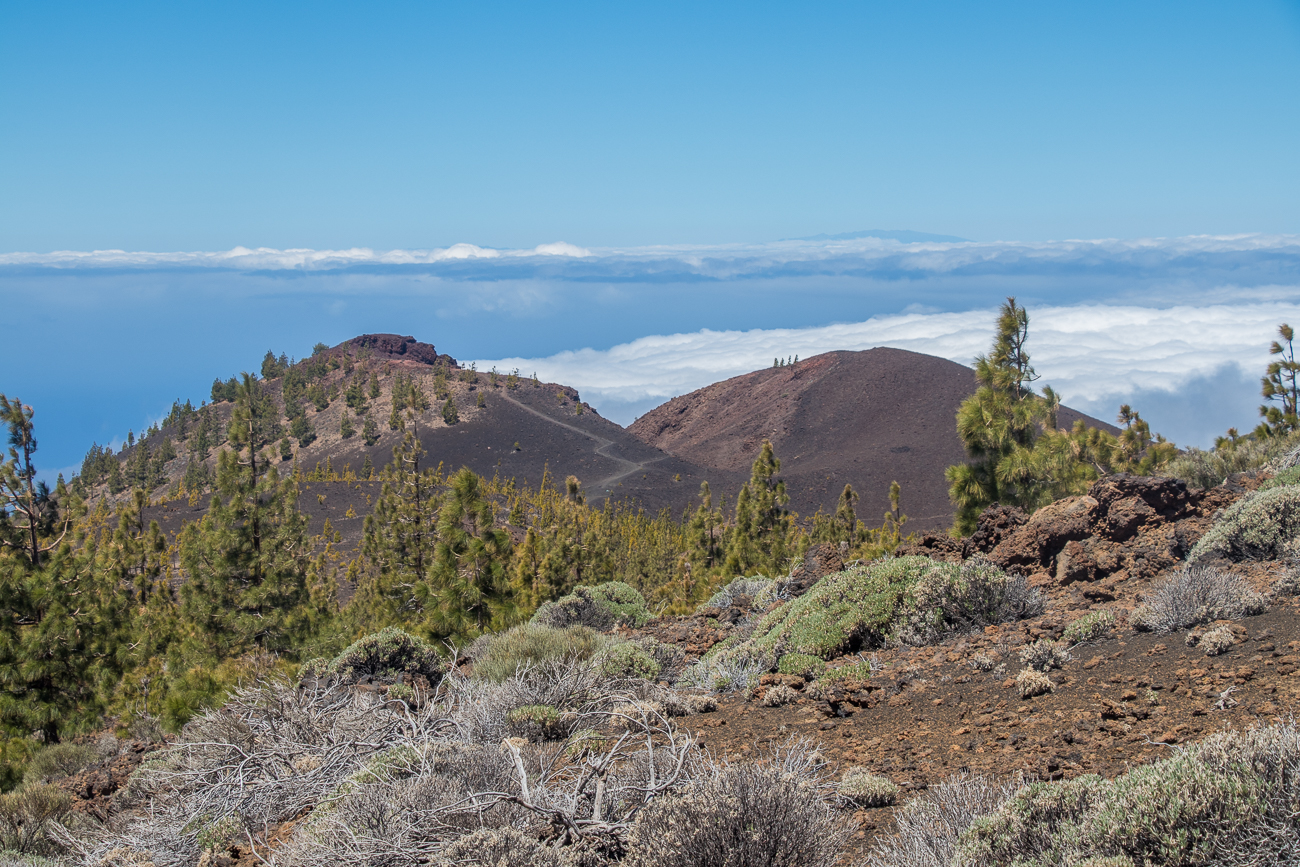 Blick auf den Montaña Samara 