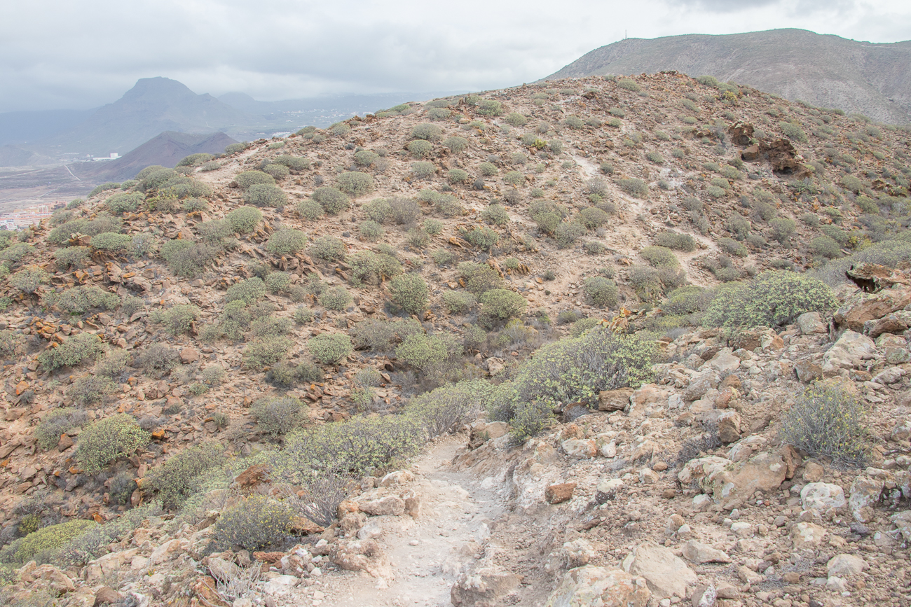 In Los Cristianos steigen wir einen Hügel hinauf 