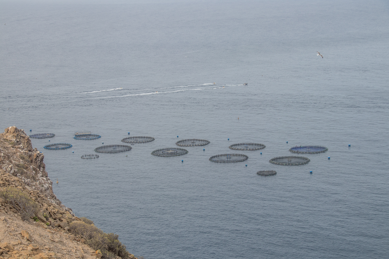 Fischfarm vor der Küste 