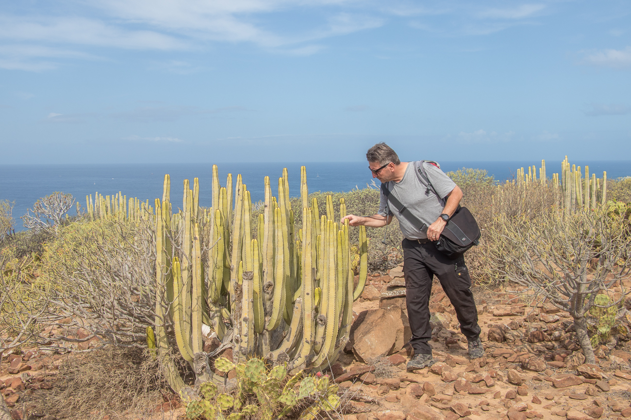 Aufpassen, stachelig 