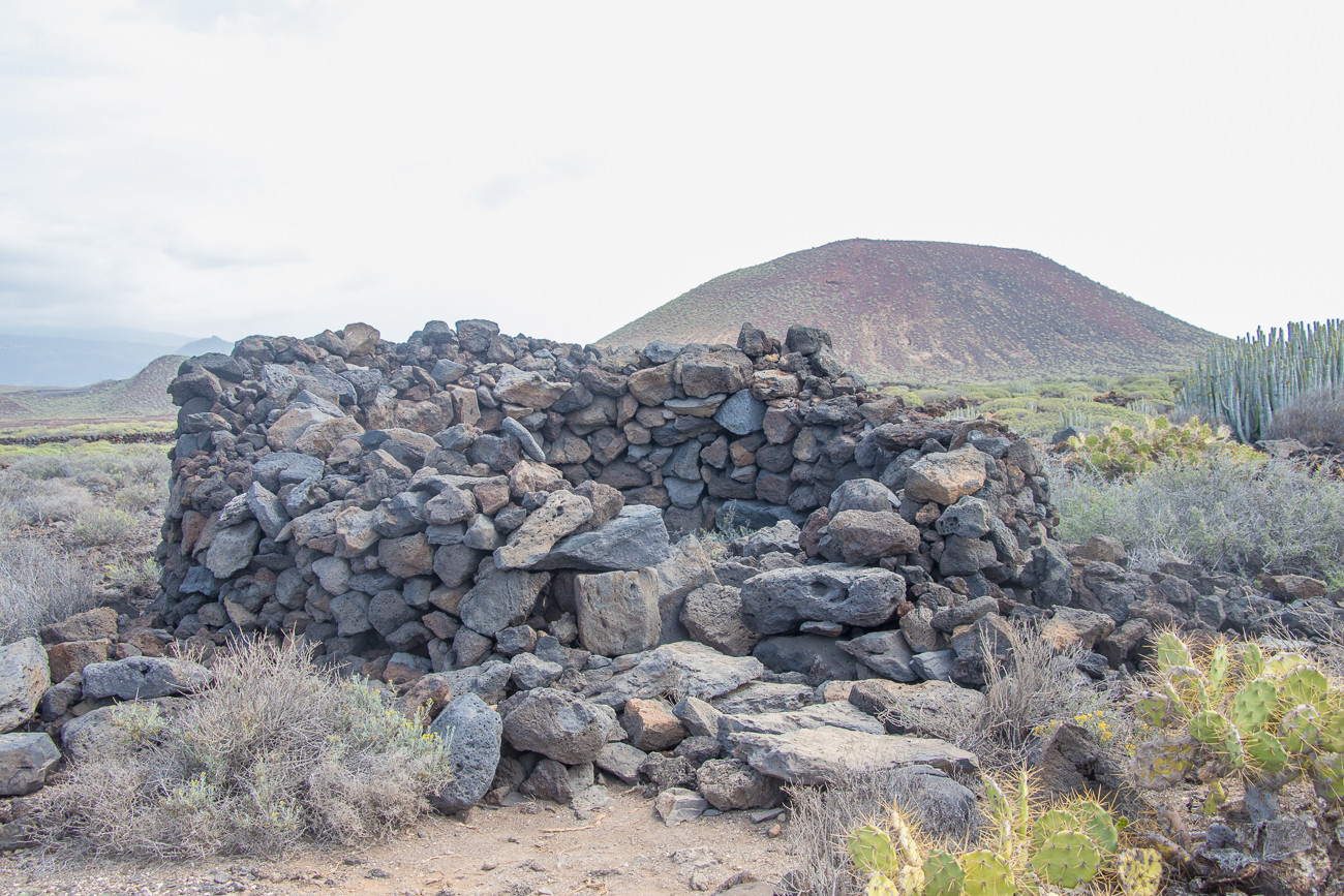 Ein etwas besser erhaltenes Exemplar 