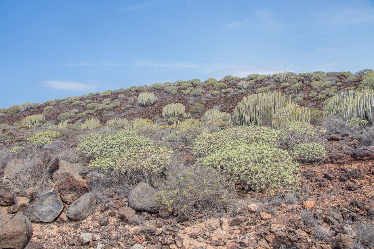 Das Wetter bessert sich 