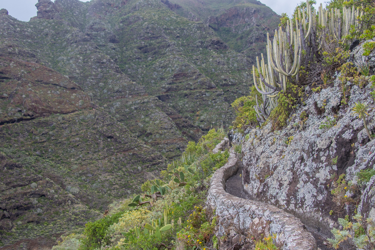 ... auf denen wir langsam den Berg hinauf steigen 